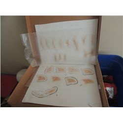 300 RISE OF AN EMPIRE HUGE LOT OF SCARS 2 No RESERVE!