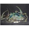 Image 1 : STARSHIP TROOPERS MARAUDER SCREEN USED ALIEN SCORPION BUG