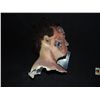 Image 3 : TERMINATOR T-800 ARNOLD BUST REPLICA NO RESERVE!