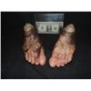 Image 1 : LORD OF THE RINGS THE HOBBIT FEET SCREEN USED BACKGROUND