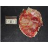 Image 2 : ZOMBIE EXPOSED LATEX ENTRAILS & SILICONE APPLIANCES