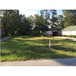 210 BROOK STREET, BREWTON, ALABAMA (VACANT LOT) Legal Description: Lot 14, Block Y, City Subdivision