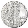 Image 1 : 2006-W (Burnished) Silver American Eagle MS-70 NGC