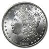 Image 1 : 1884-CC Morgan Dollar - MS-65+ Plus PCGS