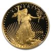Image 1 : 1996-W 1/10 oz Proof Gold American Eagle PF-70 NGC Regi