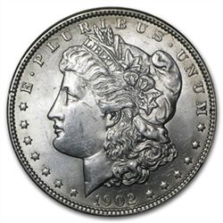 1902 Morgan Dollar - Brilliant Uncirculated