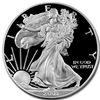 Image 1 : 2003-W (Proof) Silver American Eagle PR-70 DCAM PCGS