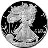 Image 1 : 2007-W (Proof) Silver American Eagle PR-69 DCAM PCGS (F