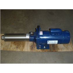 J-Class Pump with Emerson Motor Pump $15HB422C7-S, Motor T55CXBMH-982