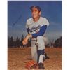Image 1 : Sandy Koufax