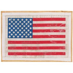 NASA American Flag Beta Cloth