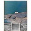 Image 2 : Apollo 10