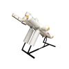 Image 2 : Space Station Freedom Model