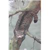 Image 1 : Ralston Gudgeon RSW; A watercolour/gouache of a Scottish wild cat, signed and inscribed verso, 7...