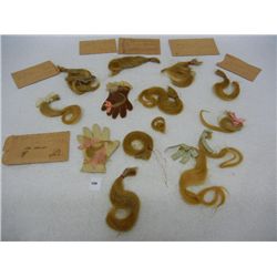 Locks of Human Hair, Dated 1920s