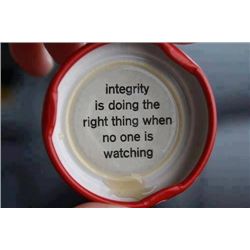 This item is being Sold Live on the Fly - You are bidding on the Item live on the camera!