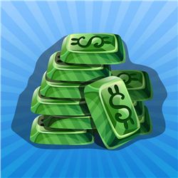 This item is being Sold Live on the Fly - You are bidding on the Item live on the camera!