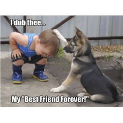 This item is being Sold Live on the Fly - You are bidding on the Item live on the camera!