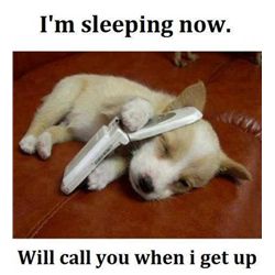 This item is being Sold Live on the Fly - You are bidding on the Item live on the camera!