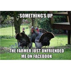 This item is being Sold Live on the Fly - You are bidding on the Item live on the camera!