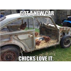 This item is being Sold Live on the Fly - You are bidding on the Item live on the camera!