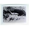 Image 3 : 47 GREAT WWII PACIFIC PHOTOS-IWO JIMA, TARAWA,SURRENDE