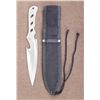 Image 1 : THROWING KNIFE & CASE-STAINLESS STEEL- CUSTOM DESIGN