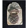 Image 1 : RARE ANTIQUE PRO-MARKSMAN AWARD FROM NRA-JR. DIV