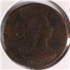 Image 1 : 1806 HALF CENT AG (C-4, R-1) (LARGE 6 STEMS) (ROTATED)