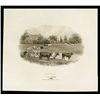 Image 1 : Bank of Ottawa, Proof Vignette Used on 1906 Issue.