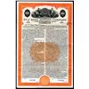 Image 1 : ACF-BRILL Motors Co., 1944 Specimen Bond.