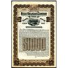 Image 1 : Boise Railroad Co. Ltd., 1906 Specimen Gold Bond.