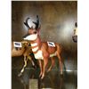 Image 1 : Bryers Antelope