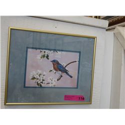 Framed print of a bird