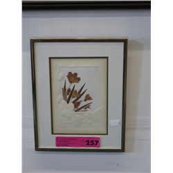 Framed dried & pressed flowers