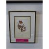 Image 1 : Framed dried & pressed flowers