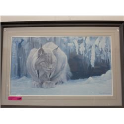 Framed print of a Lynx by Robert Bateman