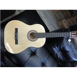Aileen acoustic guitar - Model AC981N2 - new