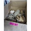 Image 1 : Box of sea shells