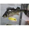 Image 1 : Vintage - Royal Dux  large "Fish"