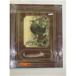 "Redtail" by Dave Bartholet