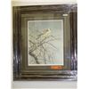 Image 1 : "Pygmy Falcon" by Robert Bateman
