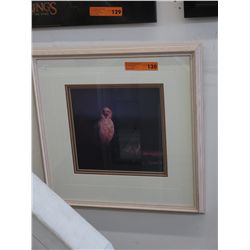 Framed owl photo print by A Goedecke '93