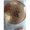 Image 3 : 2 x 2017 Zombie Morgans