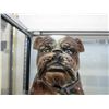 Image 2 : Glazed ceramic Bulldog