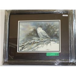 "The Arctic Ghost" by Dave Bartholet