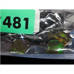 3 polished pieces of ammolite