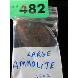 Large ammolite 1.5" x 2" x .25"