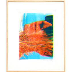 Margaret Riegel, Visual Chemistry - Coral Man, Digital Print