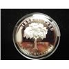 Image 2 : 33.3 GRAM STERLING SILVER PROOF MEDAL